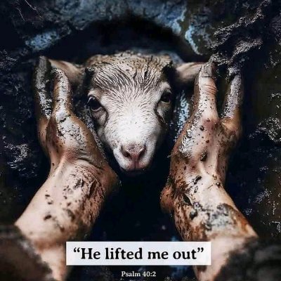 Dabinho1's profile picture. 