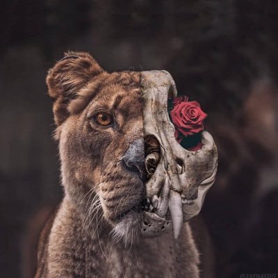 BaydoganSabit's profile picture. Biz bizden büyük bir Allah'ı biliriz.