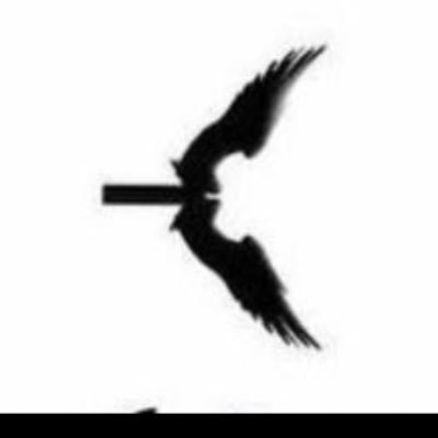 McCartys_'s profile picture. Independent Brands,Trainers,unique finds