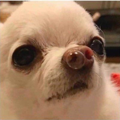 pqpmiam's profile picture. amo ouçar musga