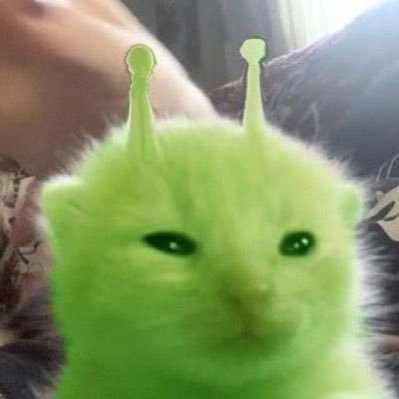 riiinouo's profile picture. 린 삐계