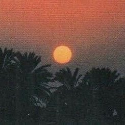 0xmod1's profile picture. 