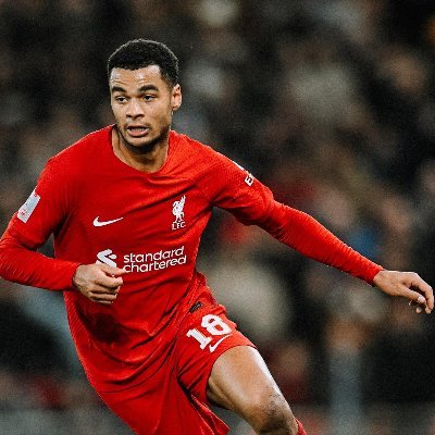 fries_will44362's profile picture. 