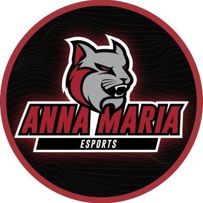 @AMCAT_esports