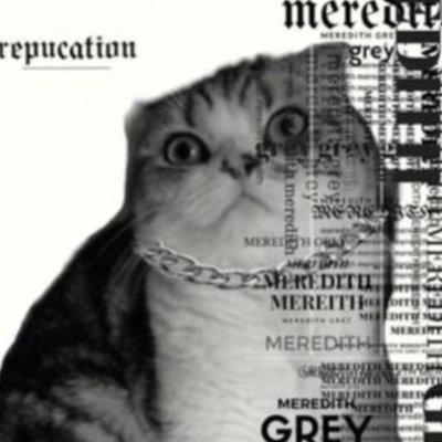 sh1iiibal's profile picture. Update account for Taylor Swift's multi millionaire cat Meredith Grey (Inactive )