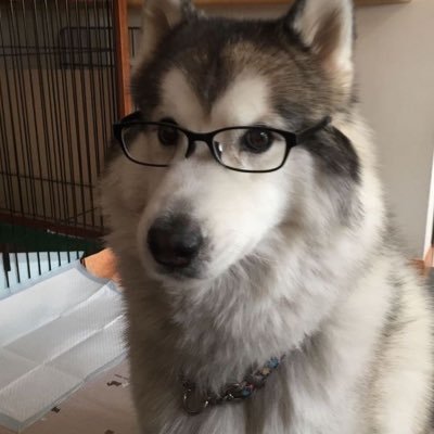 pottertism's profile picture. 