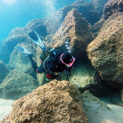 hh04770377's profile picture. If you fail, don't forget to learn your lesson