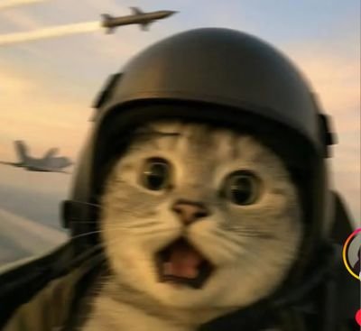 Next__X's profile picture. 