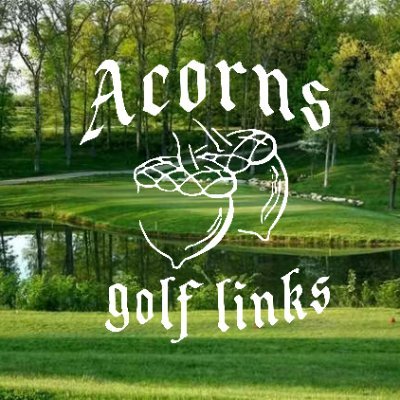 Acorns_Golf's profile picture. Family-owned golf course in Waterloo, IL ⛳ Beautiful scenery, challenging design, and a great day for every golfer. 🌳