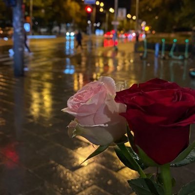 oii_5r's profile picture. 