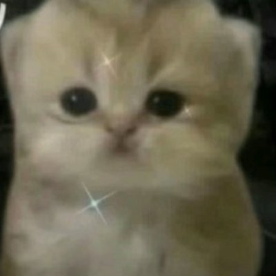 jusuf26774430's profile picture. fight for the hope. forgive. love. watch your words. share good things. Inspire, let it chain.