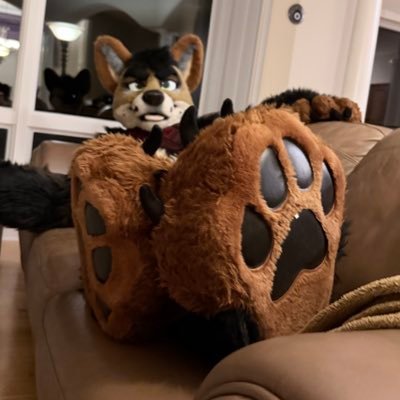 barkinyote's profile picture. a coyote who likes showing his socked feet and other things