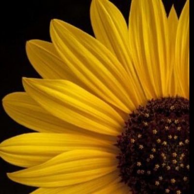 southpaw___23's profile picture. WEB3/ @F1 /ANIME|I speak humor//and oh,I’m a proud southpaw// bullish on WEB3 shmoneyyy