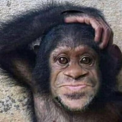 Madametipwen's profile picture. 