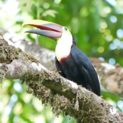 SeMiHAL9000's profile picture. We are most likely living in a Simulation - AND that's good news for everyone. Advocate for 🤖📲programming in 🐍 and 🐱🐶🦜 Photography. 🙏 Welcome 🤗