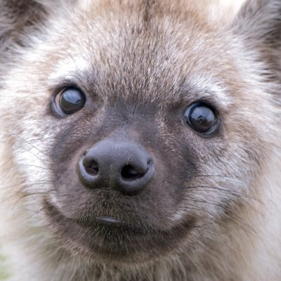 ZeifZeifZeif's profile picture. Yeen vtuber @ https://t.co/clrTaSrnY3
https://t.co/6sxspZZTJa