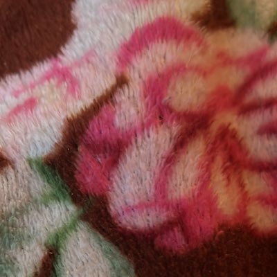 genisisrawr's profile picture. 🦋im locked in not looking , life , voice actor adulting is so hard  #skinnies #5500 I’m asian/ Guyanese / $kaylerawr my creator coin