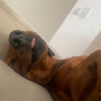 cazinnnn's profile picture. 021 @vascodagama ❤️