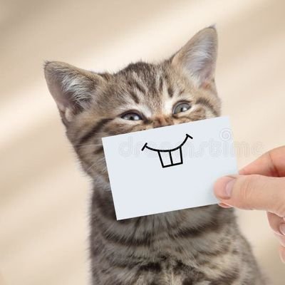 HasnaAurHasana's profile picture. #ViralVideos #Memes #X #dubai 
#india
Crypto Investor

@HasnaAurHasana

Every repost and like motivates me to keep sharing content