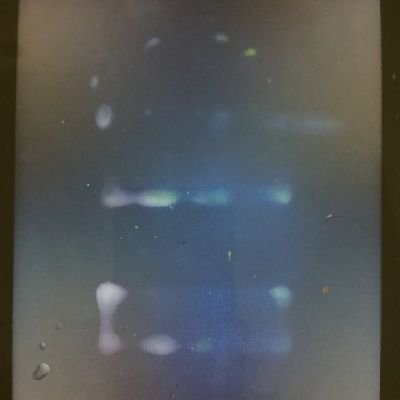 ran731622's profile picture. #奥山真司GoogleJapan代表
#GoogleJapanがPayPayから650円窃盗犯罪したPayPay調査結果です‼️
#PayPayアプリチャーチ残高GoogleJapanが650円窃盗しました‼️
#Xが誕生日再設定したが設定させません　#X 
#Xユーザー名の設定不可
#誰か助けてください #拡散希望