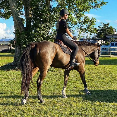 melville2588's profile picture. Self-Employed, Small Financial Teams | Real Estate Investors | X Truth Seekers | First and Second Amendment Supporters | ⛳🚫 Porn 🚫🤖