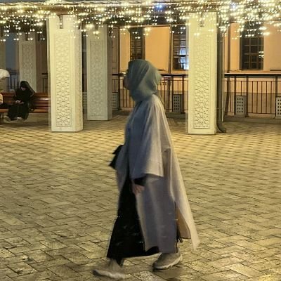 r_demiirr's profile picture. arslanı attan, darağacını salıncaktan, cerahatlı yarayı kırmızı gülden fark etmez