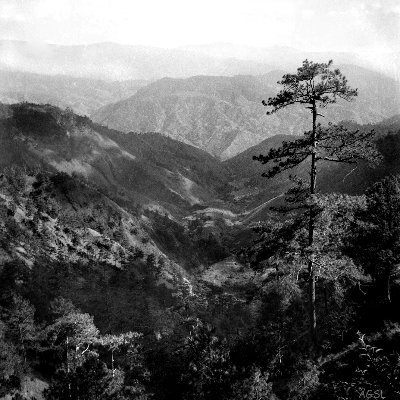 rB1zn28a2hAa2hN's profile picture. rev trash #1