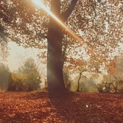 Aazika_yousuf's profile picture. Gatekeeping presence! couselling psychologist@ chotay taray foundation|KU alumnus 🎓
https://t.co/Y3JNzsoUrE