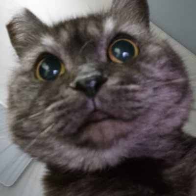 ezegumanhae's profile picture. ⚡️🏀🖤⚡️🏀🖤⚡️🏀🖤⚡️🏀🖤⚡️🏀🖤⚡️
제
발
이
겨
줘