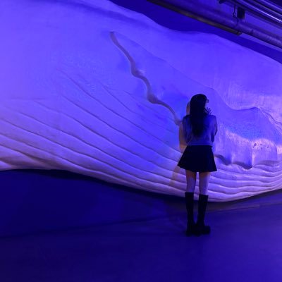 tomomopu's profile picture. 