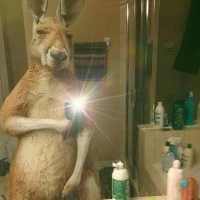 bpot4vn's profile picture. ..