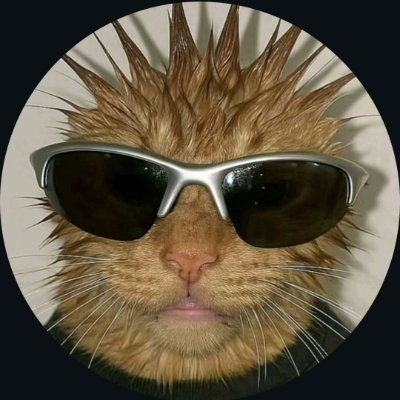 Manish_wtf's profile picture. Woohoo