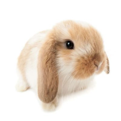 withnorkhor's profile picture. — love from afar , but real naka ^^⠀⠀ ⠀⠀⠀ ⠀#KaoJaneJaneKao #yammatira #LenaMiu ( 💌 )