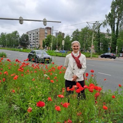 vnabavian19476's profile picture. 