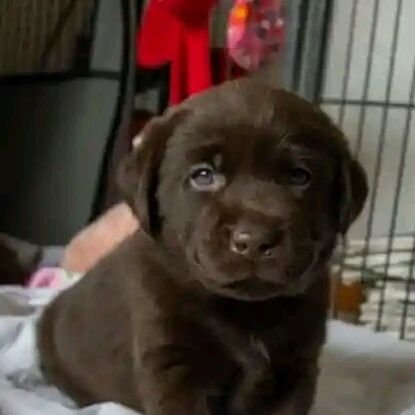 goddessann759's profile picture. BDSM LIFESTYLE