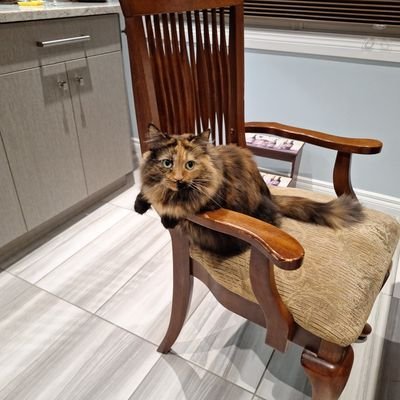 benofficer's profile picture. Alberta based retired 25 yr Canadian military veteran, motorbike rider, scuba diver, and hockey fan.