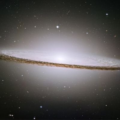 devio886169's profile picture. 