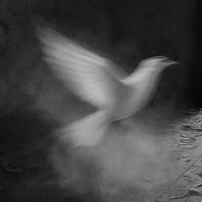 houpsette's profile picture. un peu tout un peu rien rarement rien du tout
poésie,danse,musicArt. je parle aux chats #secoursPopulaire #psy  #NOwar #loveislove #Handiaidante #nmp