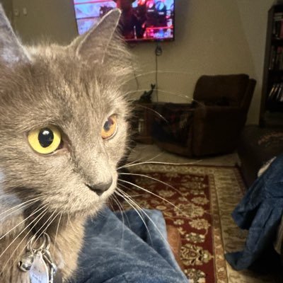 DadDerrick45's profile picture. https://t.co/fyPg3zCaPz