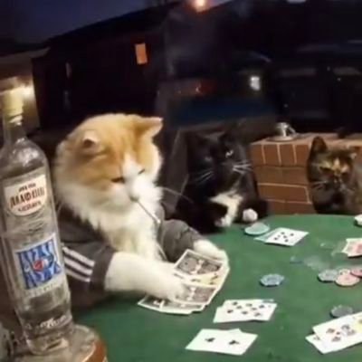 Danish01gamer's profile picture. »My honest opinion and my friendly advice is this: do it or do not do it — you will regret both.«