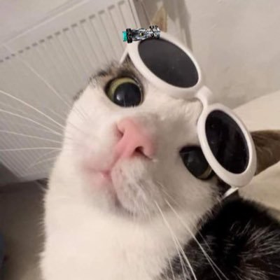 downbadbuck's profile picture. cool and mysterious