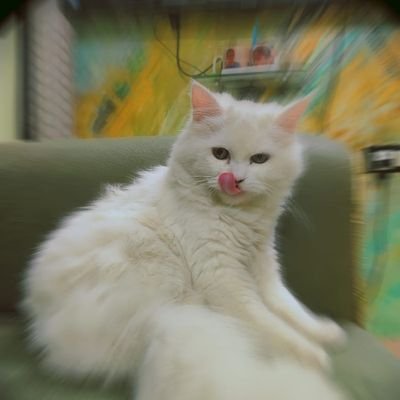 Rizvi_writess's profile picture. 𝑨𝒍𝒍 𝑰 𝒘𝒂𝒏𝒕 𝒊𝒔 𝒇𝒐𝒓 𝒎𝒆 𝒕𝒐 𝒔𝒊𝒕 𝒊𝒏 𝒇𝒓𝒐𝒏𝒕 𝒐𝒇 𝑴𝒐𝒍𝒂 𝑯𝒖𝒔𝒔𝒂𝒊𝒏 (ع) &  𝒄𝒓𝒚 𝒔𝒐 𝒎𝒖𝒄𝒉 𝒕𝒊𝒍𝒍 𝒎𝒚 𝒔𝒐𝒖𝒍 𝒍𝒆𝒂𝒗𝒆𝒔.