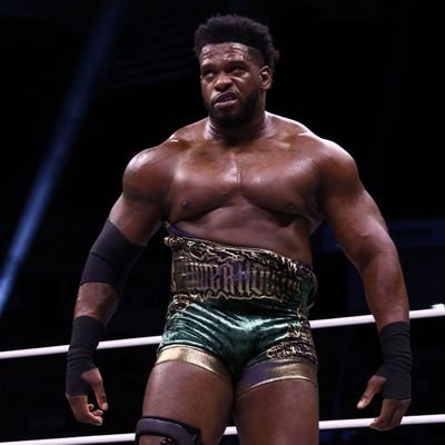 BeowUniverse's profile picture. Wrestling Account for AEW and ROH, given my opinions on pro wrestling #aew