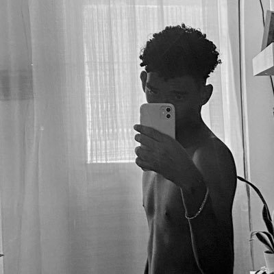 Paybblow's profile picture. 🪽