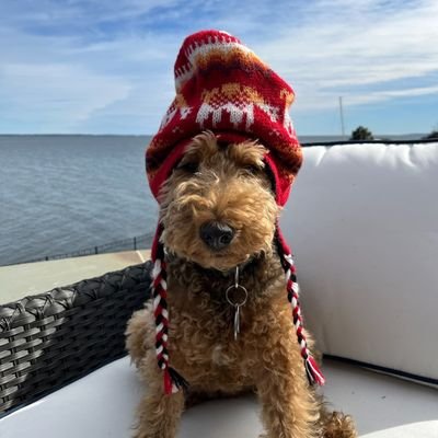 66Blunts's profile picture. PTSD is REAL, 30 years on the very busiest streets. 9/11 wasn't a joke, Navigating one day at a time. Legalize cannabis, it saves lives