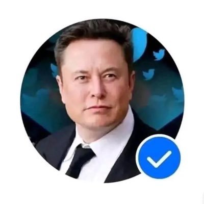 elonmusk082038's profile picture. 