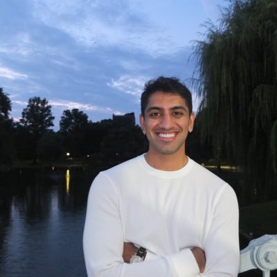 vikshirs's profile picture. swe @ meta ads // building blank