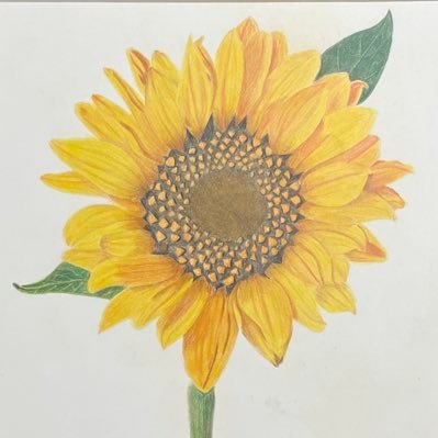 HorizonJade79's profile picture. ✌️❤️🏳️‍🌈🌮Casual Gamer | #HawkandThrush enthusiast | Shits and giggles | Currently playing: Witcher 3