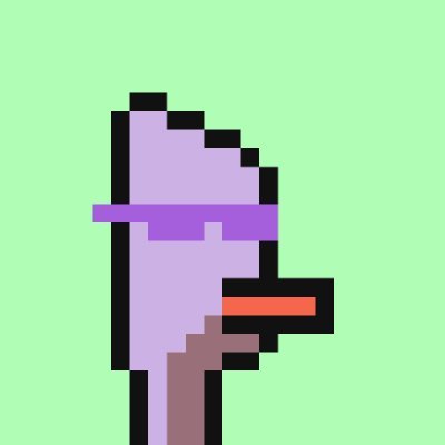 cavpatrol's profile picture. 🪄 Ops @MagicEden | Opinions are my own.