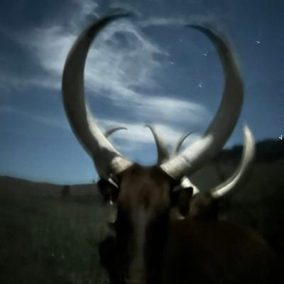 bur3ze's profile picture. John 1:5